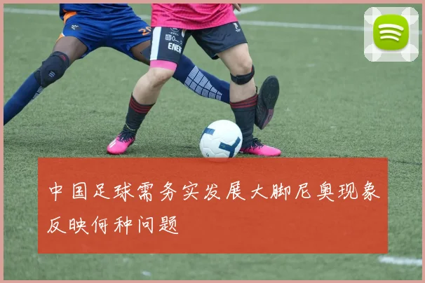中国足球需务实发展大脚尼奥现象反映何种问题