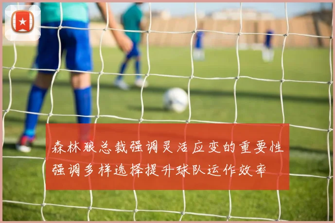 森林狼总裁强调灵活应变的重要性强调多样选择提升球队运作效率