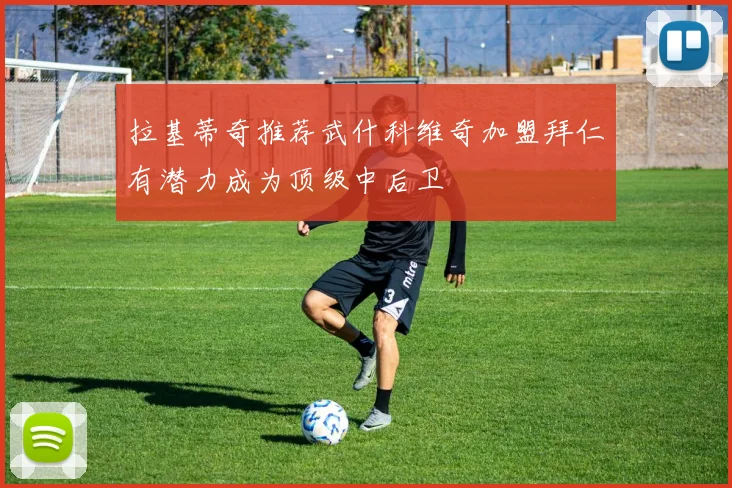 拉基蒂奇推荐武什科维奇加盟拜仁有潜力成为顶级中后卫